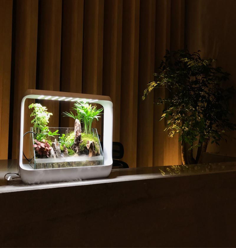 財信集團(tuán)所轄物業(yè)綠植租賃